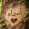 ASMAA🇸🇦's profile picture