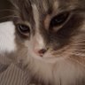 Profilbild von Sofia