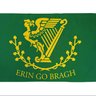 🇮🇪FF FG OUT NOW 🇮🇪's profile picture