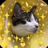Profilbild von 梅咲