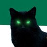 IamNotAmirali 🇮🇷's profile picture