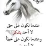الشيخ سمير البشيري profil fotoğrafı