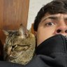 Martín's profile picture