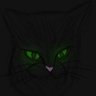 Park_Gatopretokase's profile picture