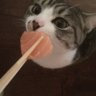 Profilbild von 林