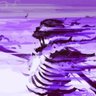 /*Kingofspades*\ profil fotoğrafı