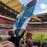 scfc.Louis 的头像