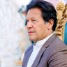 کپتان کا کھلاڑی 🏏's profile picture