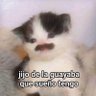 Jes A ç倎å