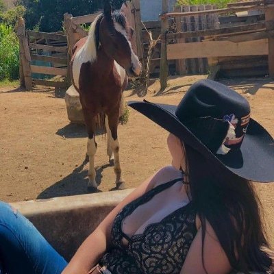 Belezas Do Interior's profile picture