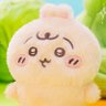 Profilbild von ちぃまる◯