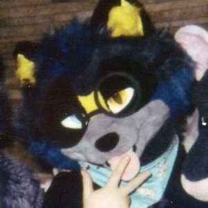 RacksTheRaccoon🔜AC's profile picture