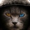 Davidsouth's profile picture