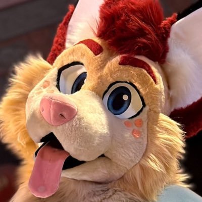 Zyly the Fox! 🧡💛's profile picture