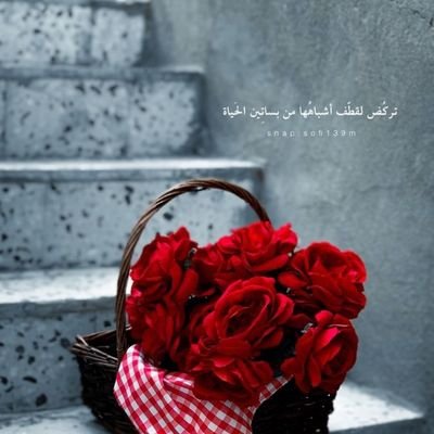 ndylsyk384998's profile picture