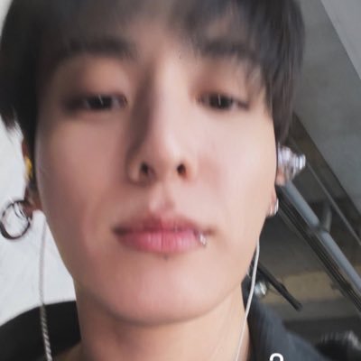 cip⁷🐰🦢's profile picture