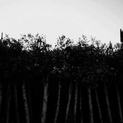 th3_int3rn3t_'s profile picture