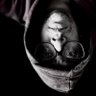 Anderson Leite's profile picture