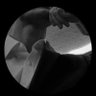 f's profile picture