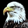 Jay | The Independent Eagle 🦅🇺🇸's profile picture