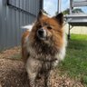 Profilbild von teddy