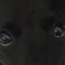 GG profil fotoğrafı