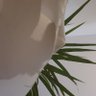 Ecaise_18's profile picture