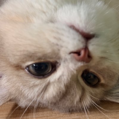 ismelxxgt__n's profile picture