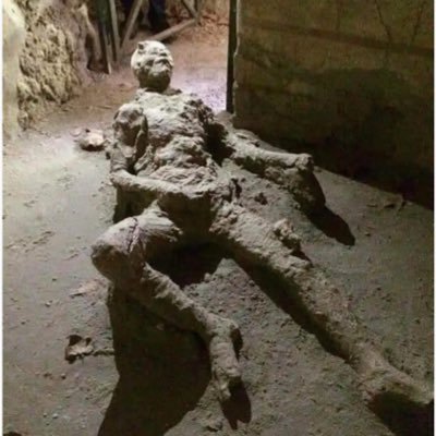 wintergroyp's profile picture