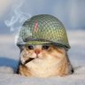 Profilbild von fricwave