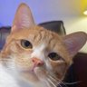 Neikos profil fotoğrafı