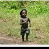 Kilimanjaro's profile picture
