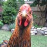 Annette's profile picture