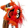 Profilbild von Kev