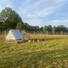 The Learning Homestead's profile picture