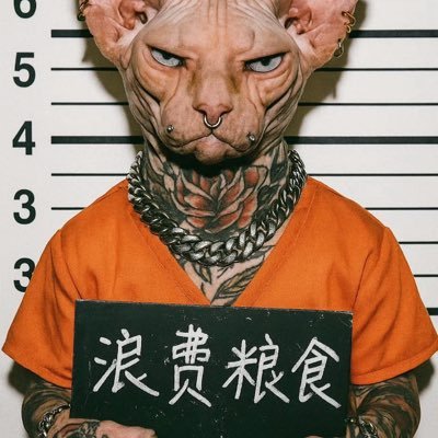 也一样's profile picture