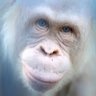 Profilbild von ἔαρ