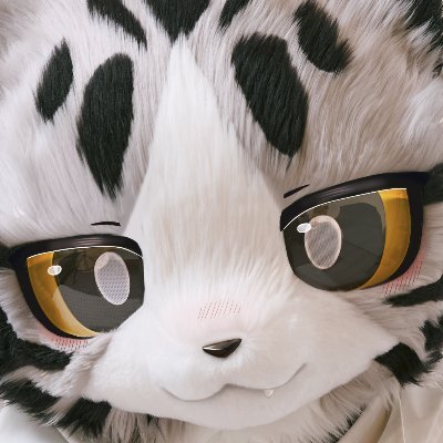 起司's profile picture
