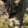 lan666 profil fotoğrafı