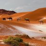 رادار الصياهد 的头像