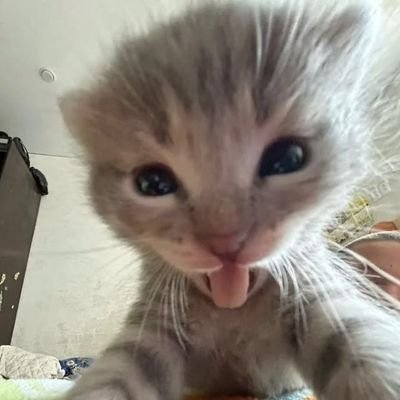 gingertwink07's profile picture
