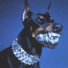 YOUNG CORLEONE's profile picture