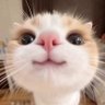 Profilbild von Mj