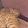 Manas's profile picture