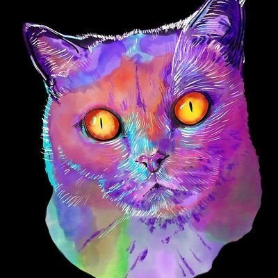 RosaMariaN9's profile picture