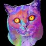 Mariona 😼🐾's profile picture