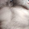 Jose Bravo profil fotoğrafı