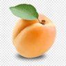 الحســـــيني ALhosaini profil fotoğrafı