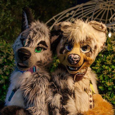 Ashes_Wolf's profile picture