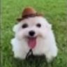 Mar_Draymack's profile picture